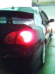 tonbi